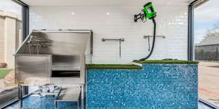 Spring Parc Gallery 15