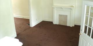 Treetop views in North Avondale Gallery 9