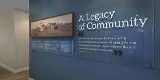 Harvest in Tracy Gallery 41