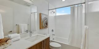 Modern Mount Baker Living Gallery 11