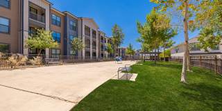 Avita Alamo Heights Gallery 19