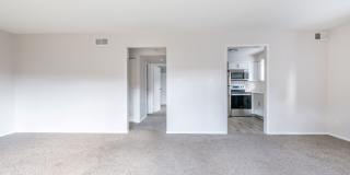 Corinth Paddock Gallery 12