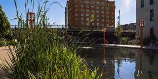 Greenhouse Gallery 2