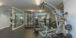 Whitestone at Landmark Gallery 25