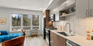 Modera Overlake Gallery 3