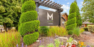 MonteVista Gallery 26