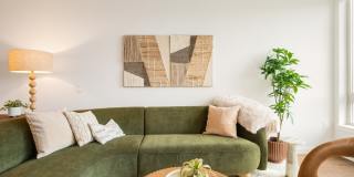 Swell Gallery 19