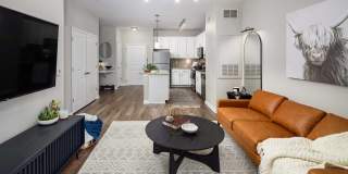 Avanti Brookhaven Gallery 2