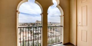 Boca Raton Gallery 47