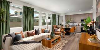 Jefferson Avena Gallery 4