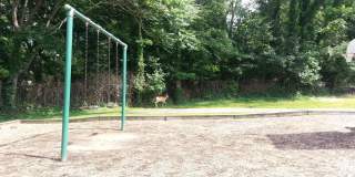 2624 REDCOAT Drive unit: 159 Gallery 15