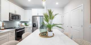 Alta Citron Gallery 41