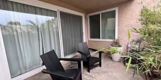 2920 Camino Capistrano Gallery 44