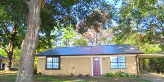 Beautifully Updated 2 Bedroom House on Wooded Lot Gallery 1