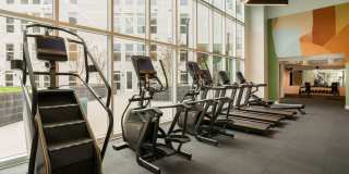 Silva Los Angeles Gallery 10