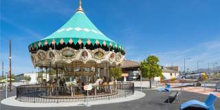 56 Scarlet Bloom Gallery 29