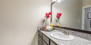 Atlas at Legacy2020 Gallery 7