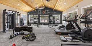 The Lynx The Lynx Gallery 18