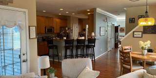 209 MISTY POND Terrace Gallery 10