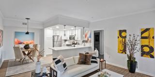 City Park in the Heights Gallery 2