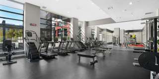 Pinnacle on the Park Gallery 11