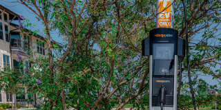 Chisholm at Tavolo Park Gallery 40