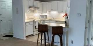 500 ROMEO Road Gallery 2