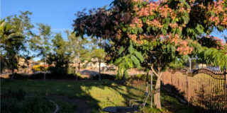 8323 Peach Avenue Gallery 4
