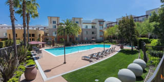 Domicilio Gallery 10