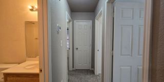 NEW IN MANAGEMENT - AVAILABLE NOW! Gallery 14