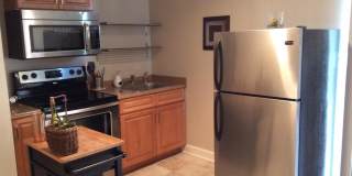 1506 PENNYCRESS Lane Gallery 3