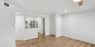 Calista Gallery 7