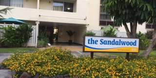 Pet Friendly 2 bedroom 1 bathroom Condo For Rent - Near Ala Moana, Don Quijote, Walmart, Sam's Club Pet Friendly 2 bedroom 1 bathroom Condo For Rent - Near Ala Moana, Don Quijote, Walmart, Sam's Club Gallery 1