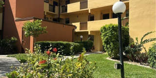 6136 Whiskey Creek Drive Gallery 1