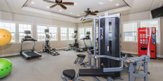 Roots at Waco Gallery 17