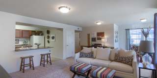Preston Lakes Gallery 6