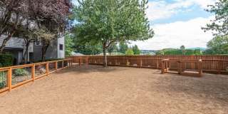 Mountain Meadows Gallery 28