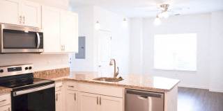 Coronet Way Gallery 48