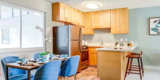 Rica Vista Gallery 7