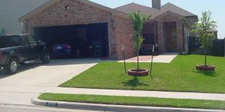 3 Bed w/ Study, 2 Bath House Gallery 1