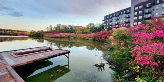 Lake Jonathan Flats Gallery 61