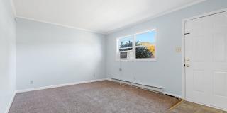 3Bed/1.5Bath Cozy & Convenient in Durham NC! Gallery 8