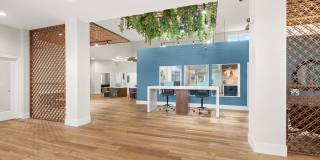 Avana Star Lake Gallery 3