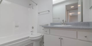 THE MODERN CACTUS Gallery 24