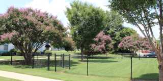 Huntsville Landing Gallery 23