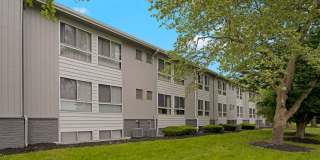 Rosehill Plaza Gallery 11