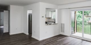 Alister Falls Church Gallery 9