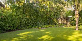 535 Honeysuckle Lane Gallery 29