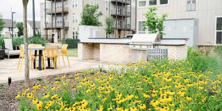 Livano at Town Madison Gallery 34