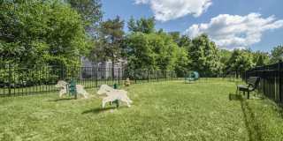 THE MANOR/THE MANOR EAST APARTMENTS Gallery 23